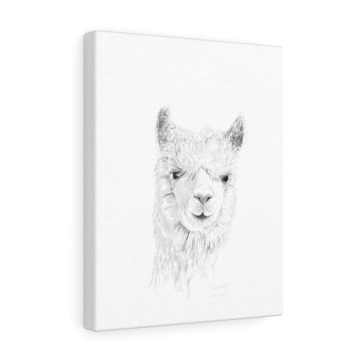 PRESCOTT Llama - Art Canvas
