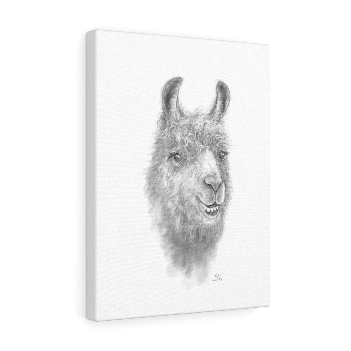 KAYLEE Llama - Art Canvas