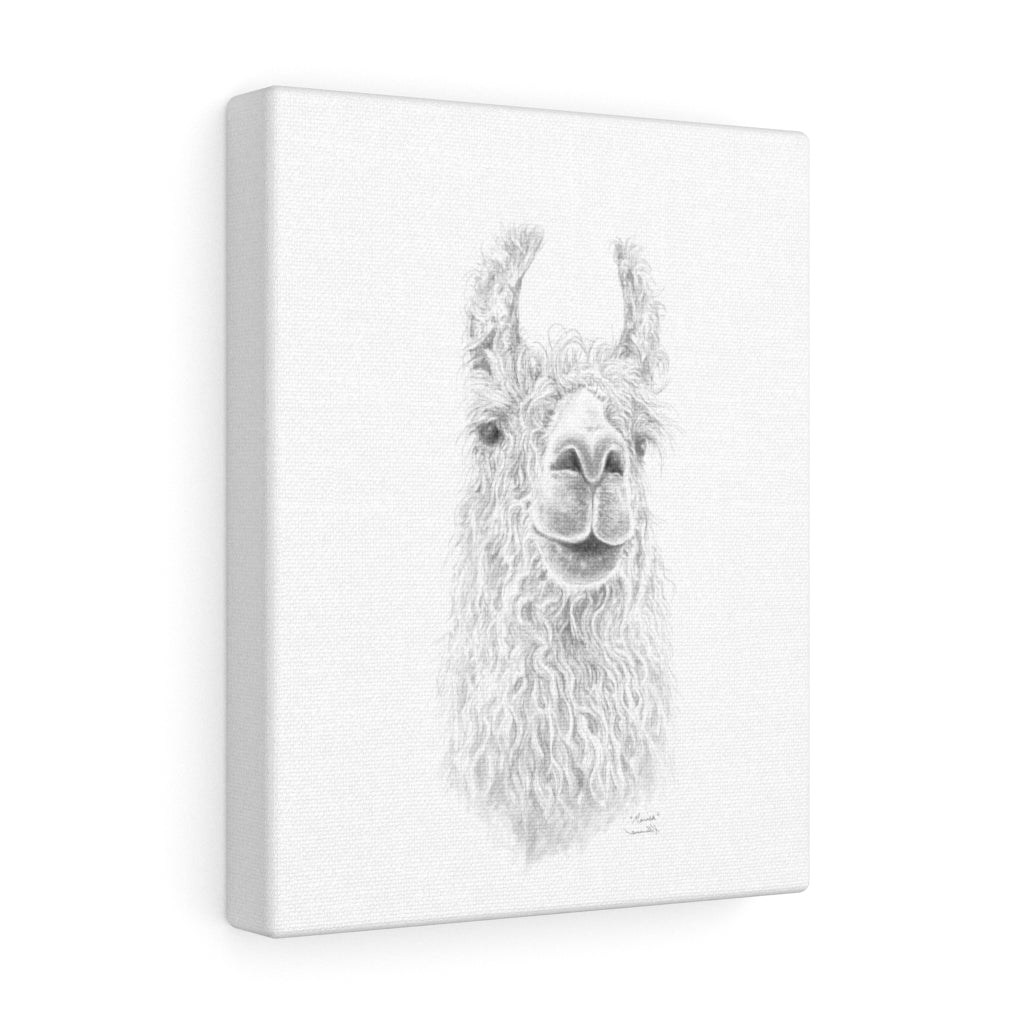 MARISA Llama - Art Canvas