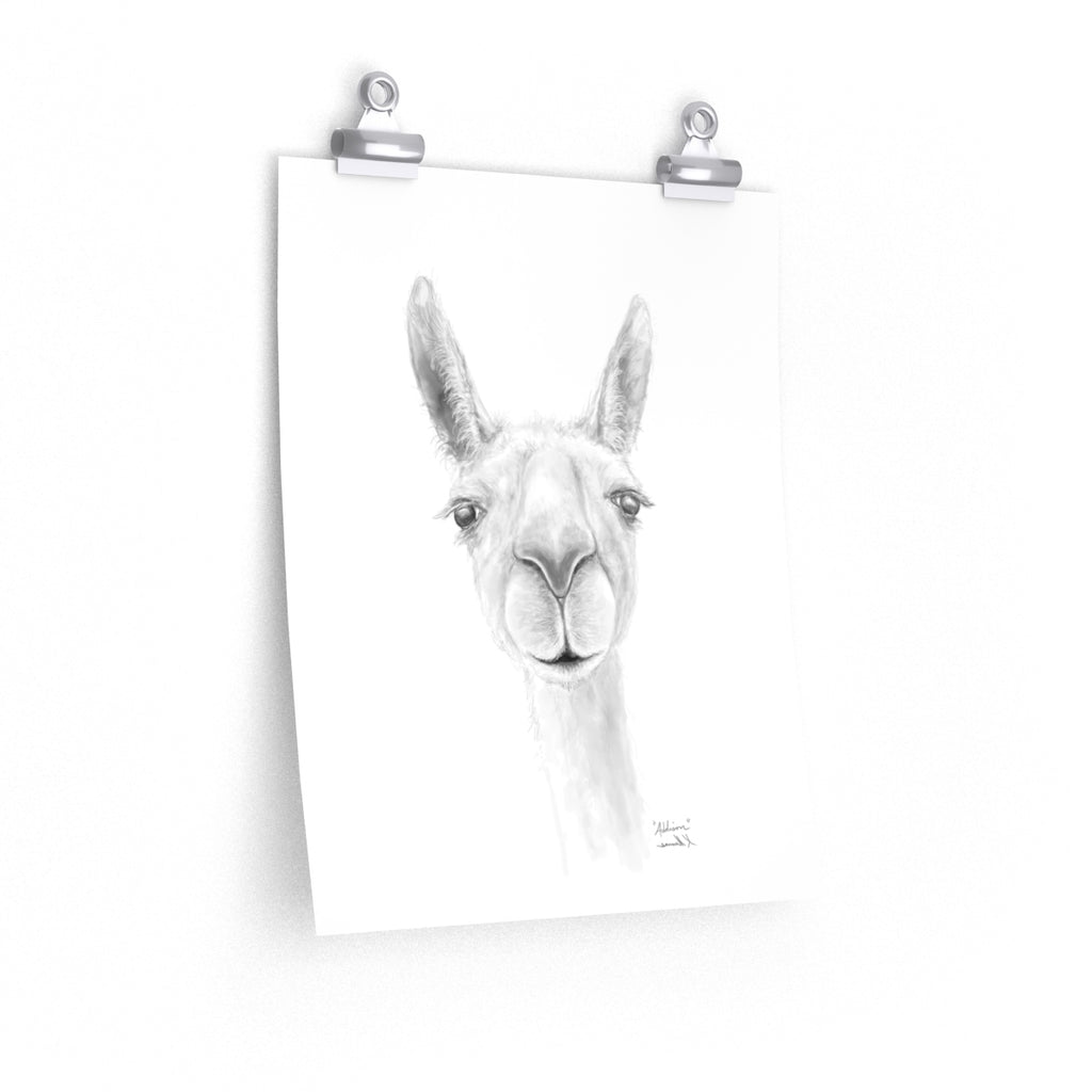 ADDISON Llama- Art Paper Print