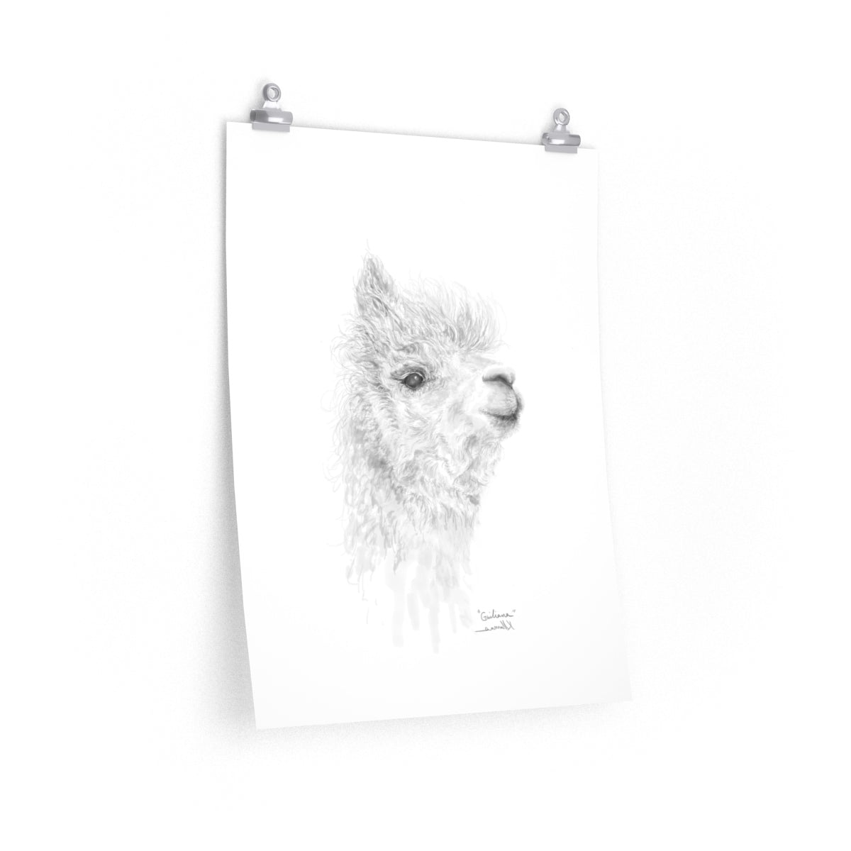 GIULIANA Llama- Art Paper Print