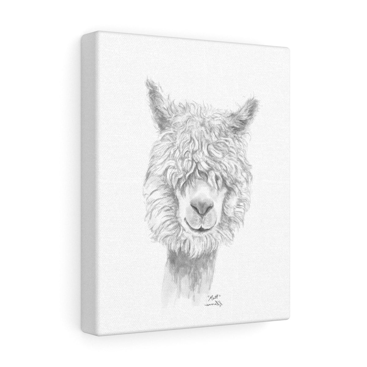 MATT Llama - Art Canvas