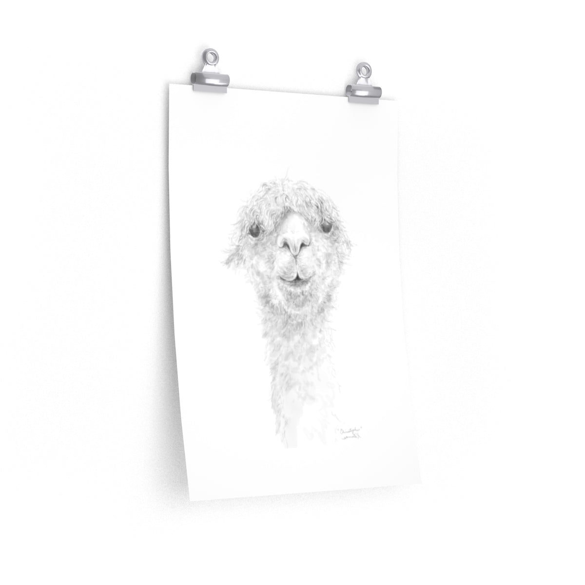 CHRISTOPHER Llama- Art Paper Print