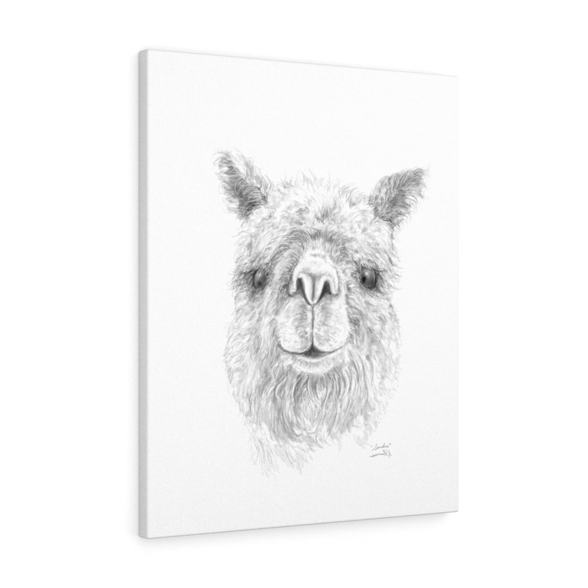 SANDRA Llama - Art Canvas