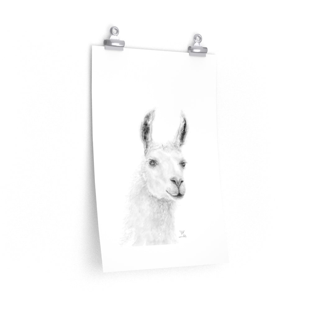 JILL Llama- Art Paper Print