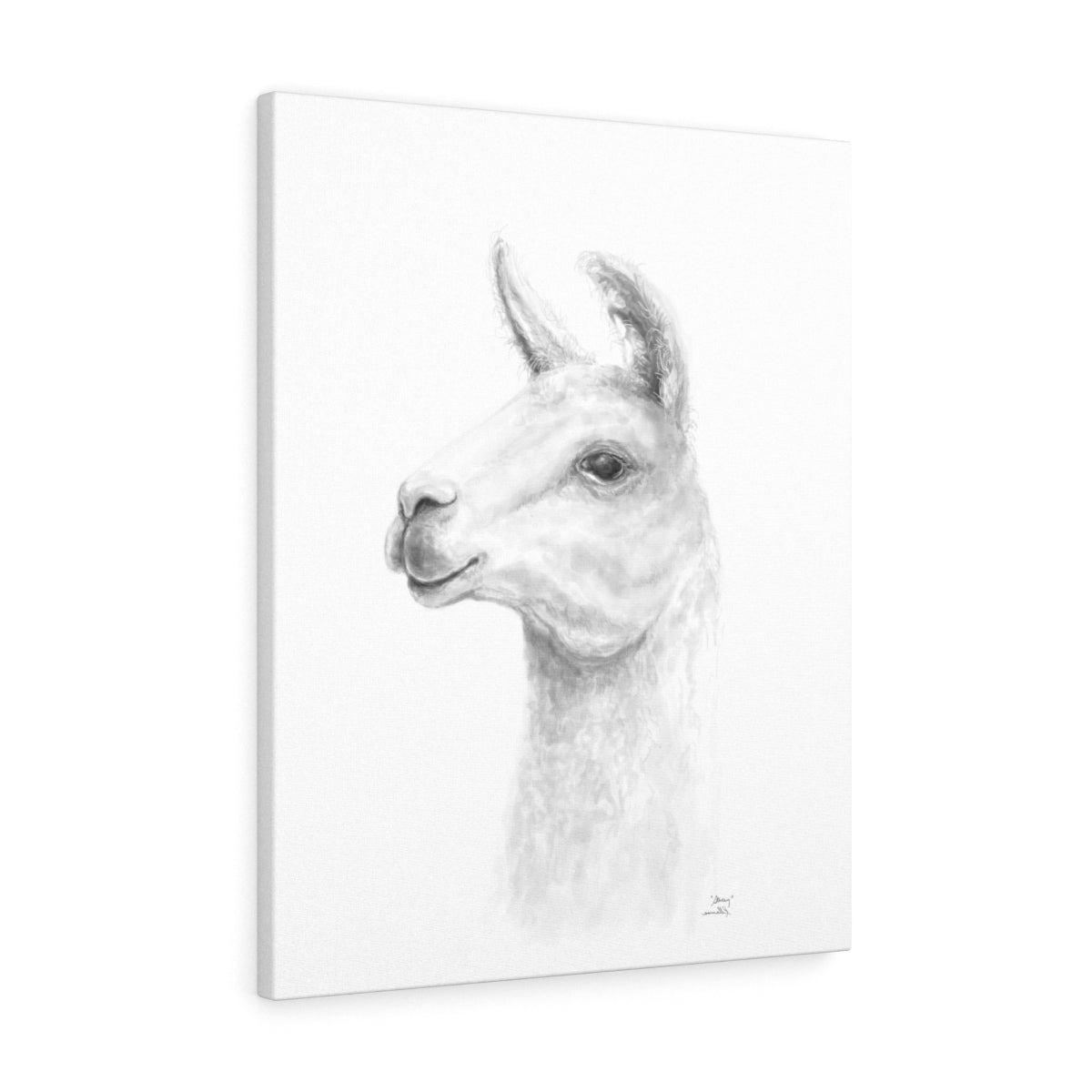 STACY Llama - Art Canvas