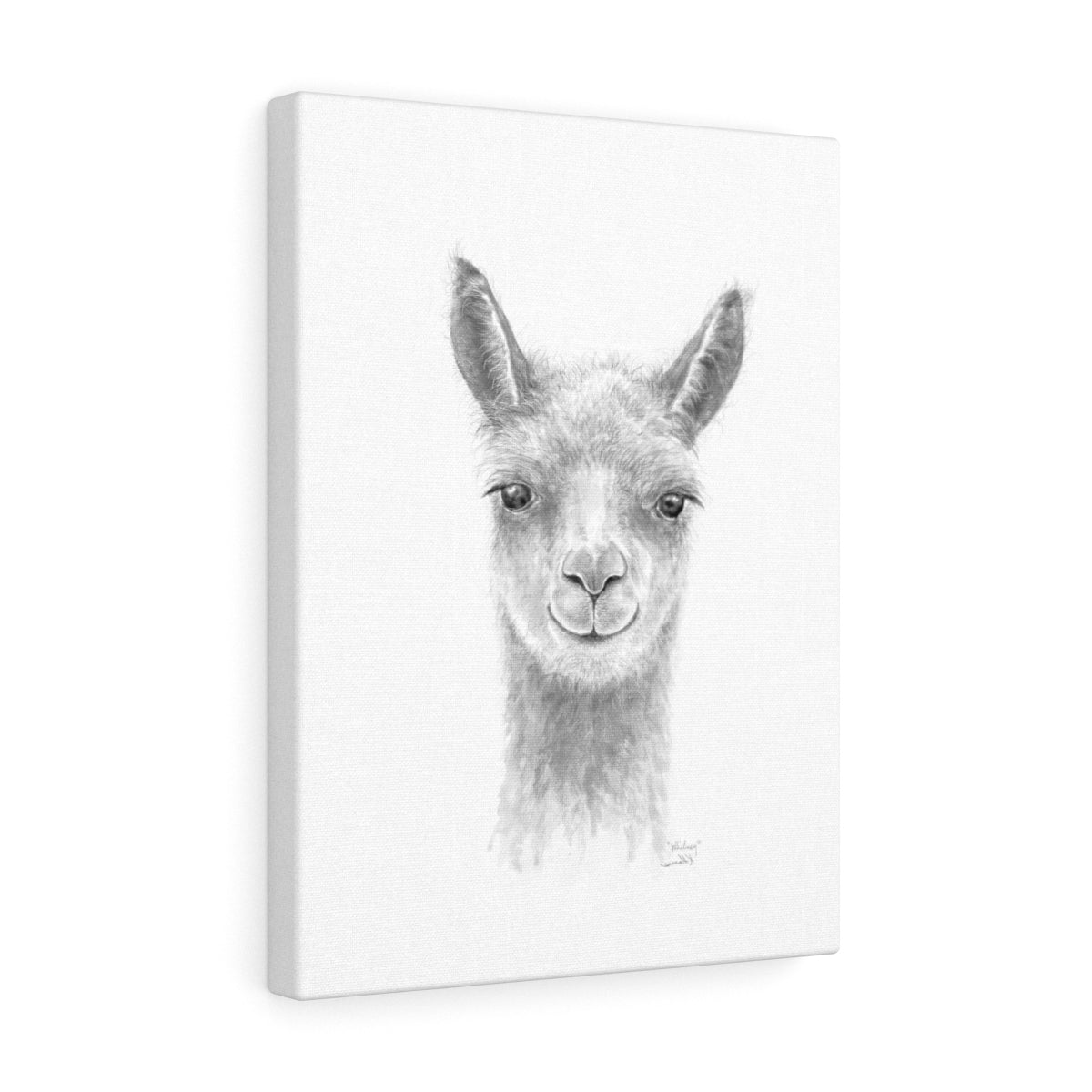 WHITNEY Llama - Art Canvas