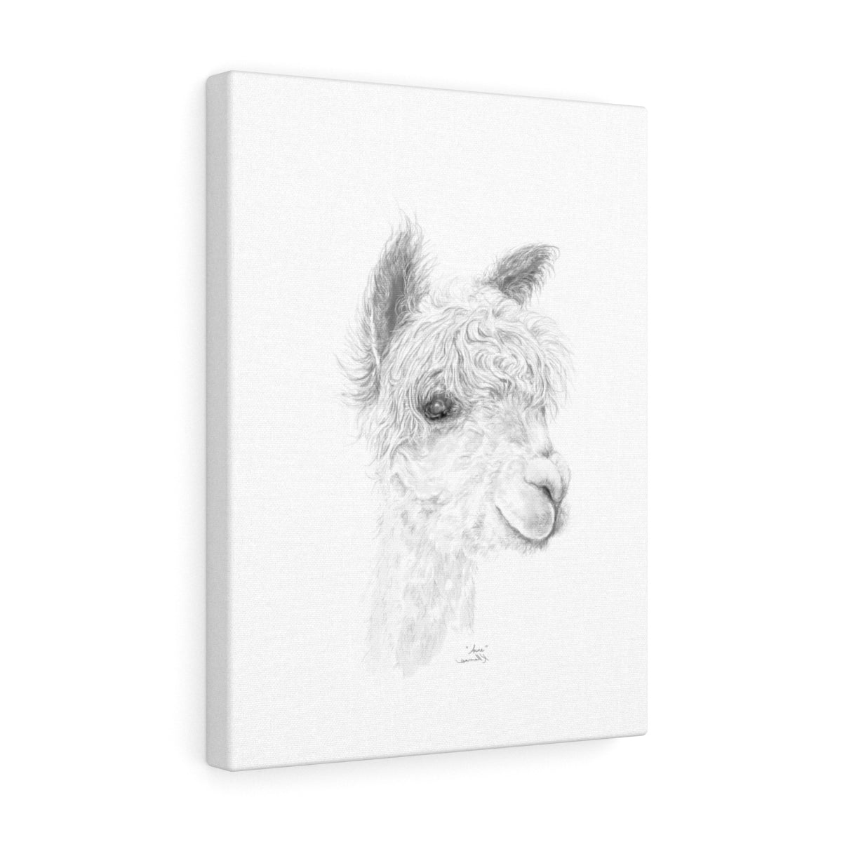 ANNE Llama - Art Canvas