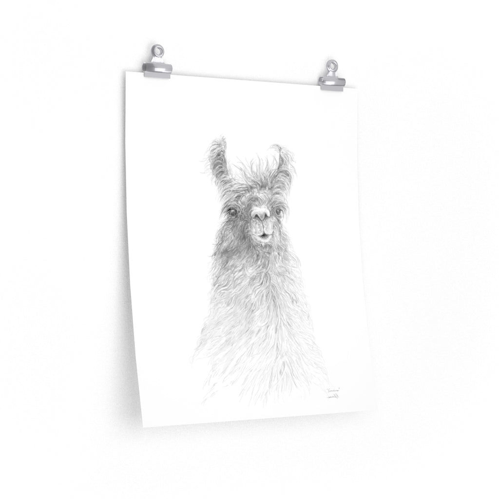 FRANCINE Llama- Art Paper Print