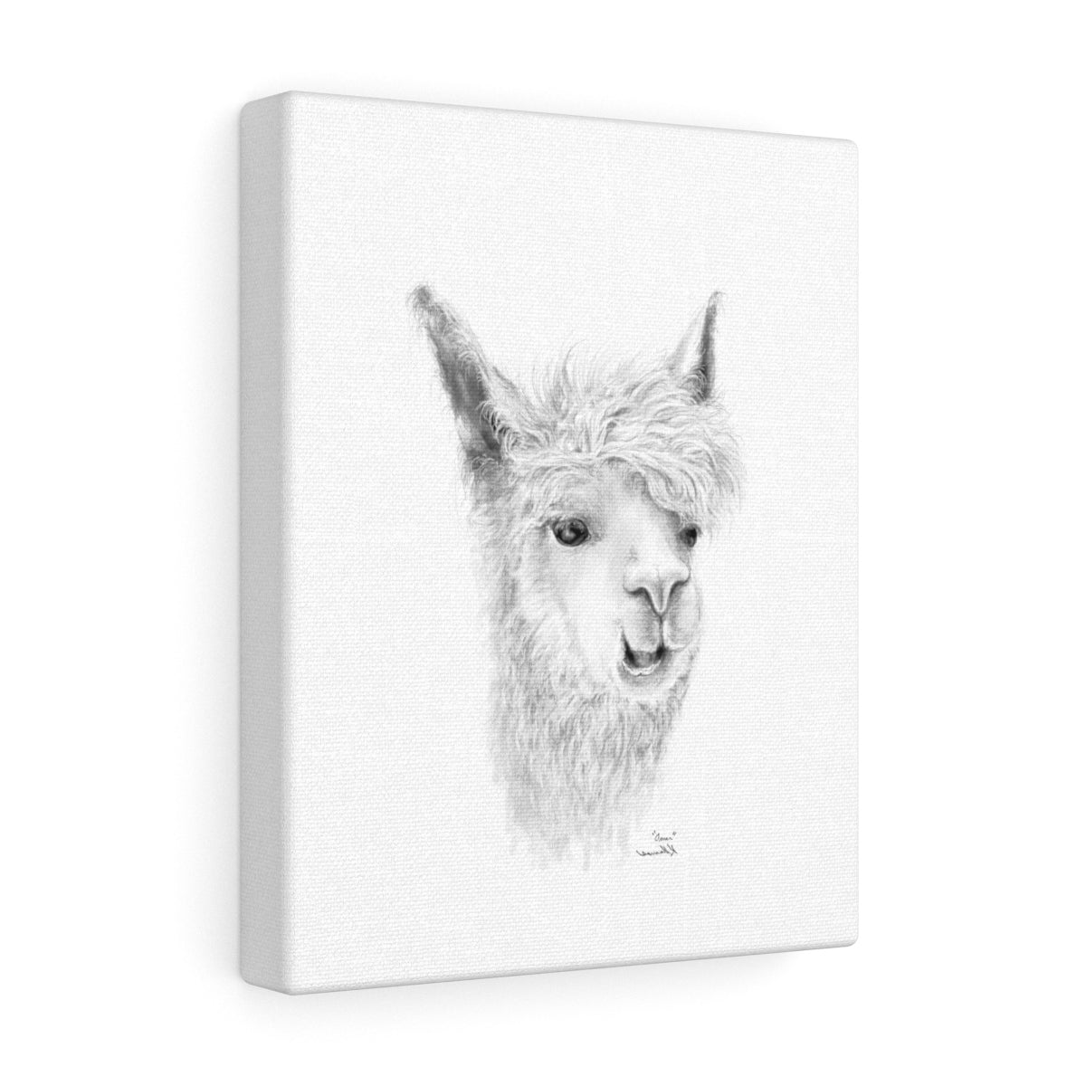 OMAR Llama - Art Canvas