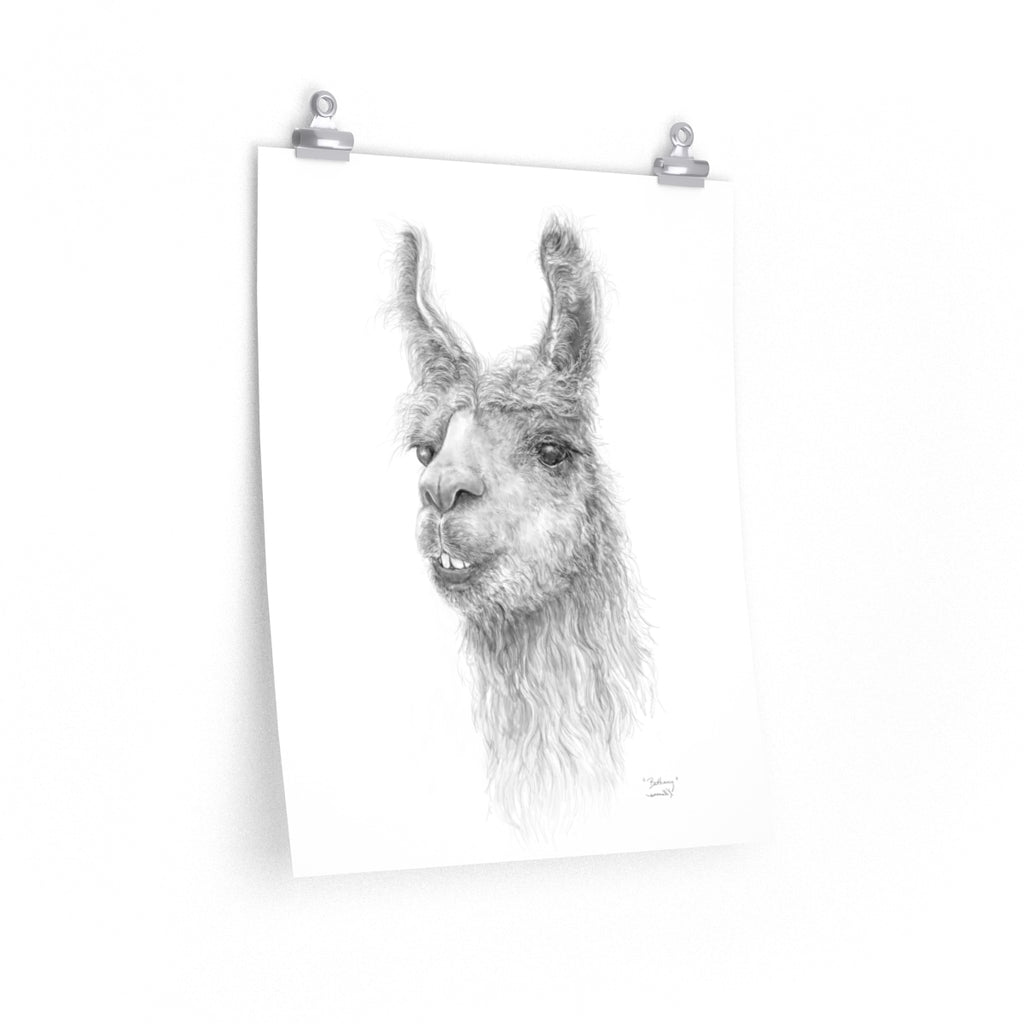 BETHANY Llama- Art Paper Print