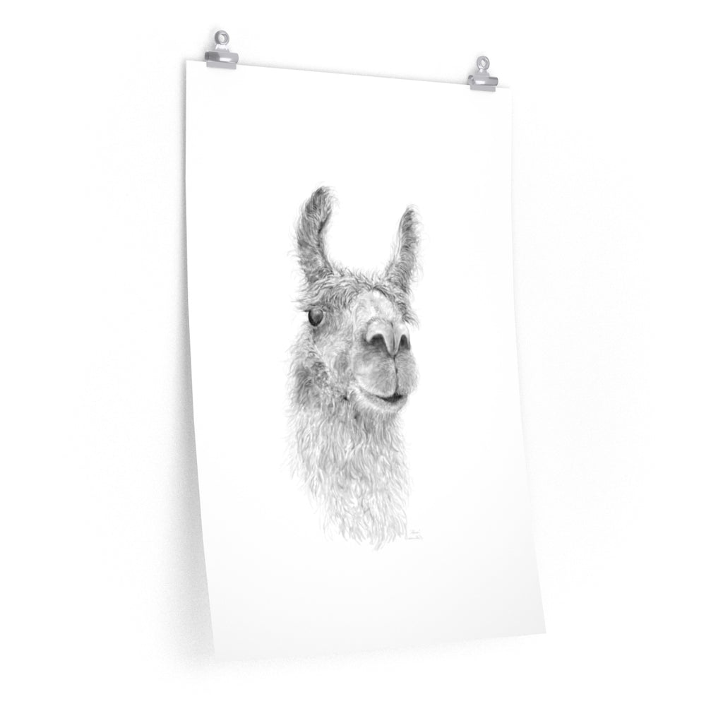 ADREA Llama- Art Paper Print