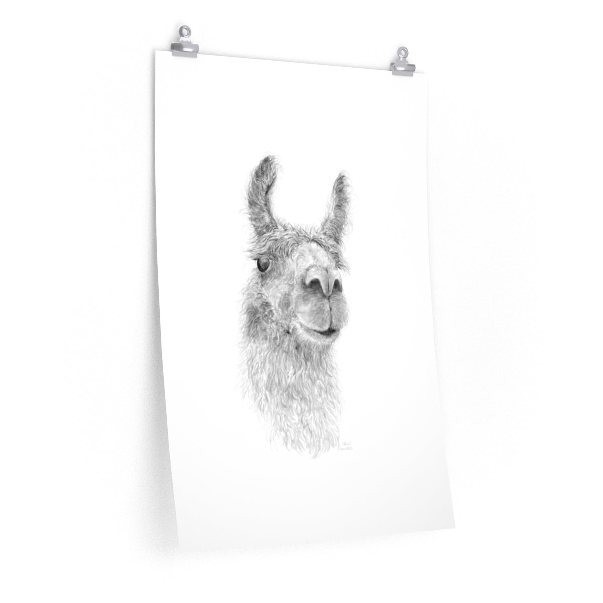 ADREA Llama- Art Paper Print