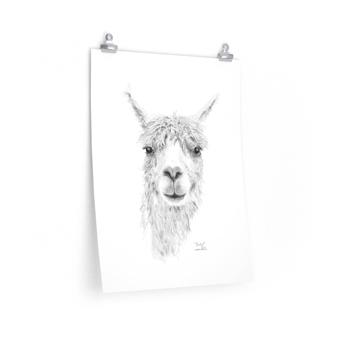 RACHEL Llama- Art Paper Print