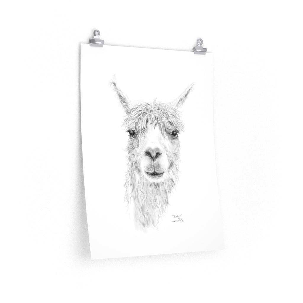 RACHEL Llama- Art Paper Print