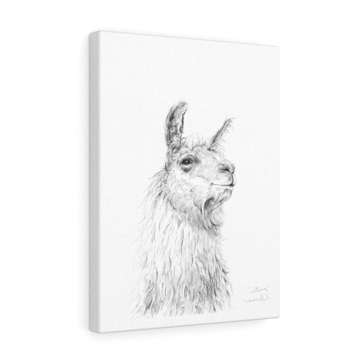 STEVE Llama - Art Canvas