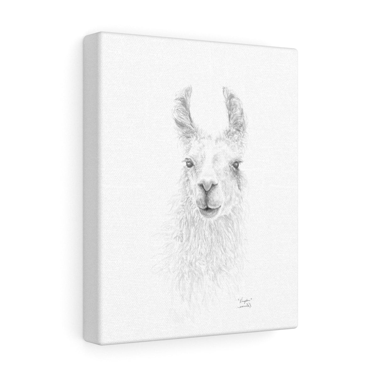 KINGSTON Llama - Art Canvas
