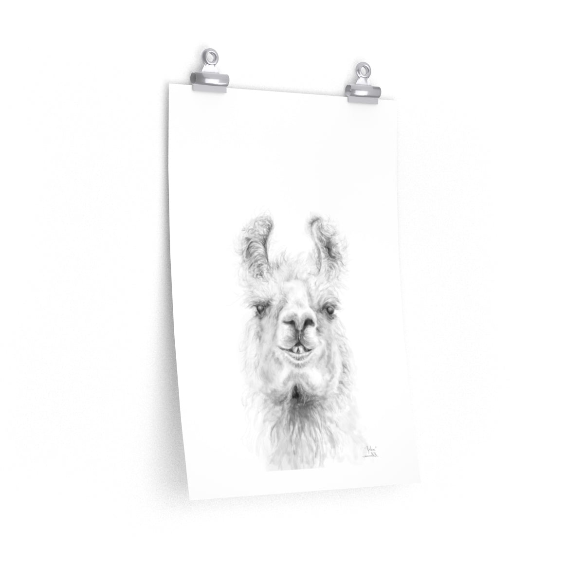 JOHN Llama- Art Paper Print