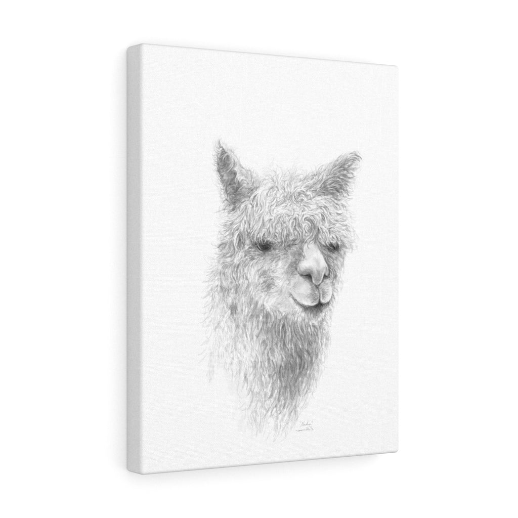 Nadia Llama - Art Canvas