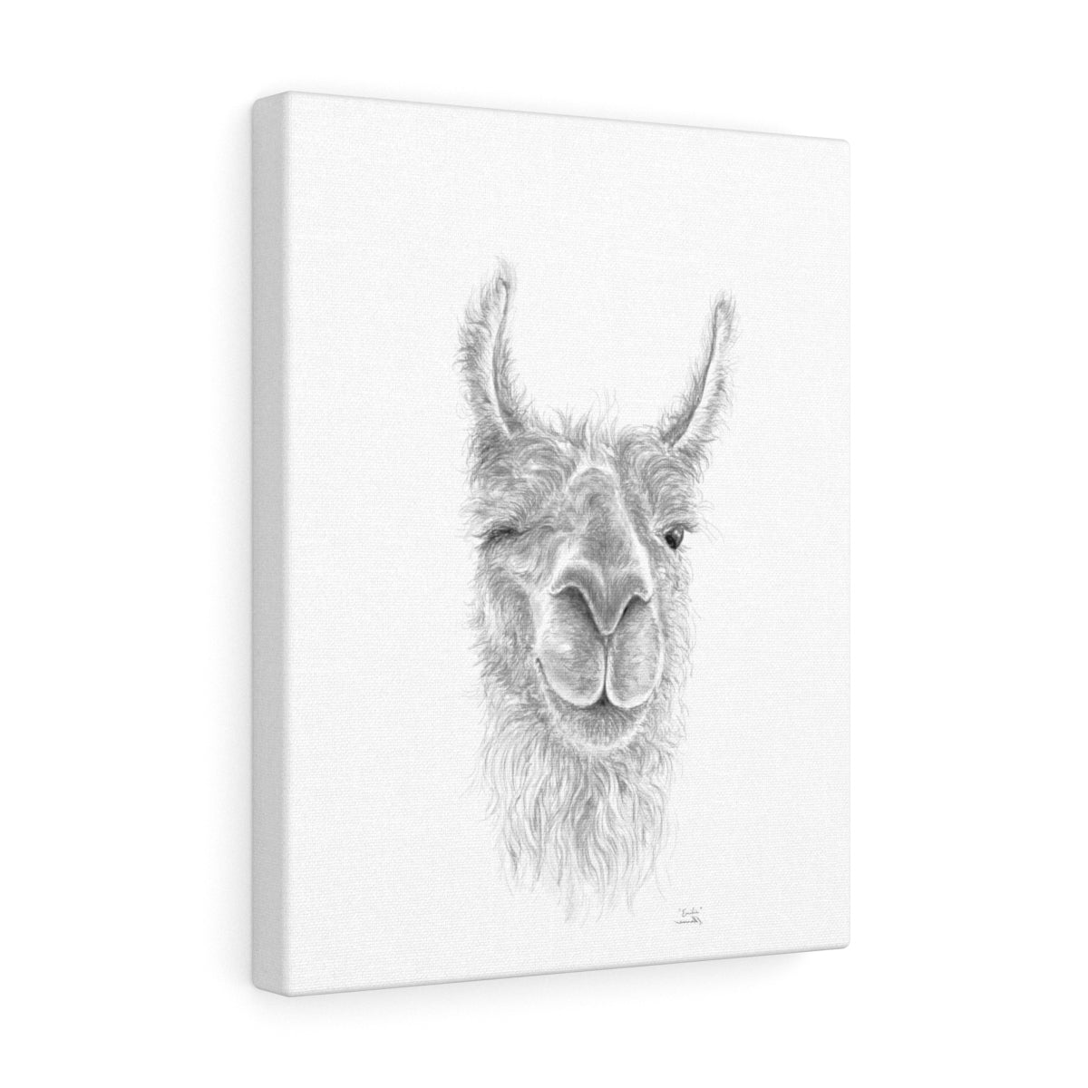 EMILIE Llama - Art Canvas