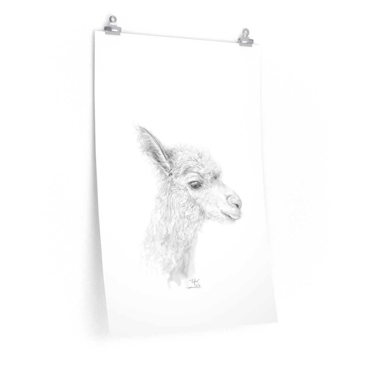 RUFUS Llama- Art Paper Print