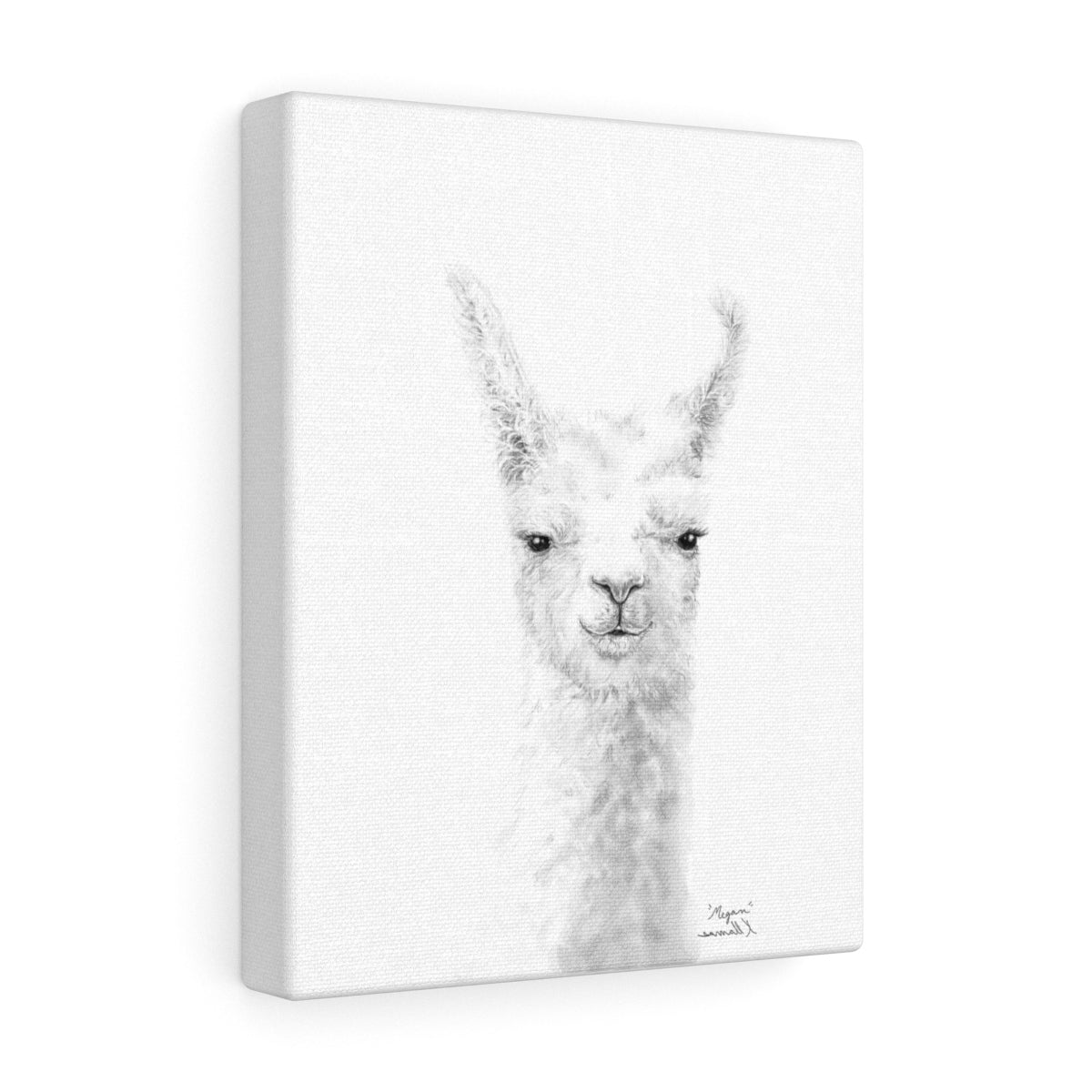 MEGAN Llama - Art Canvas