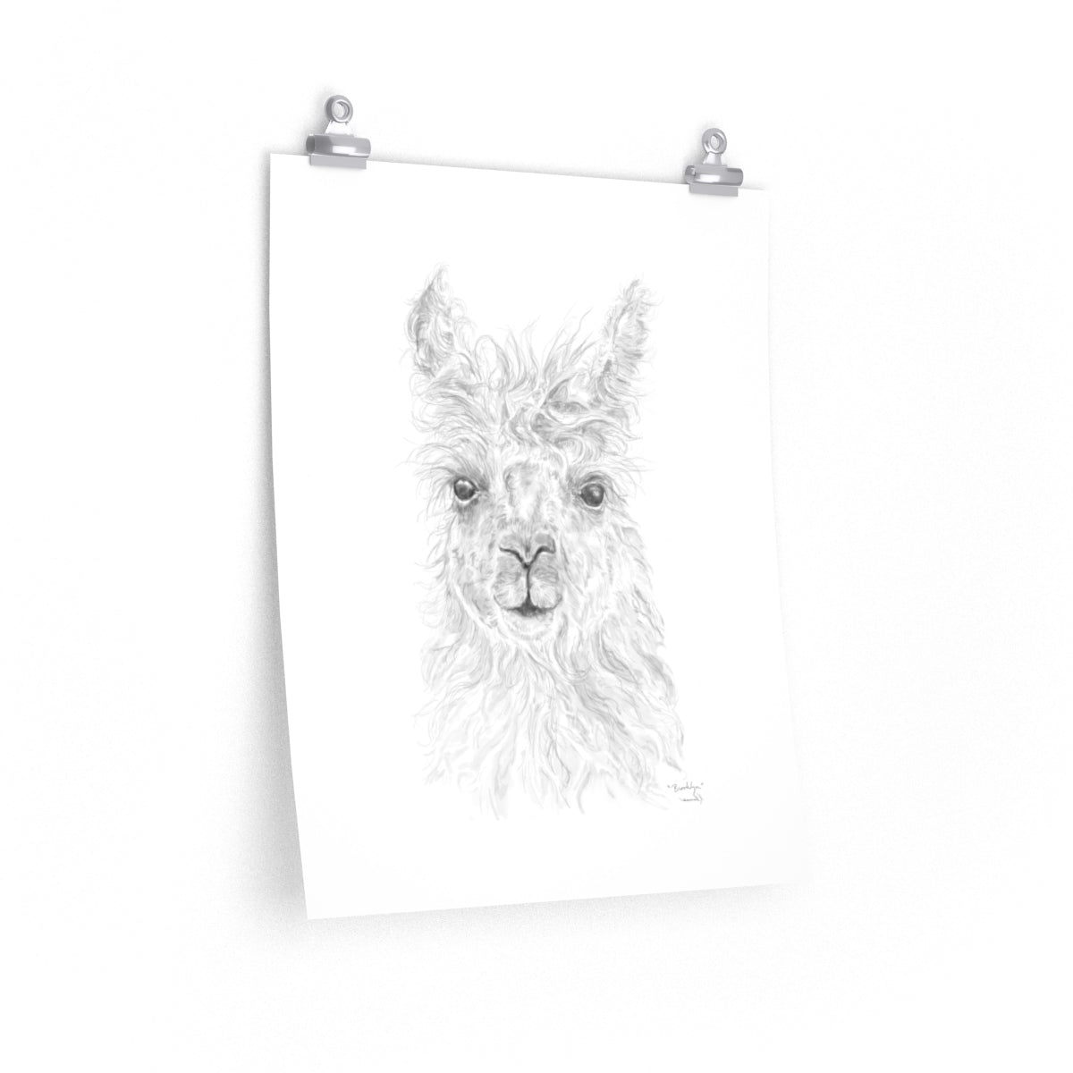 BROOKLYN Llama- Art Paper Print