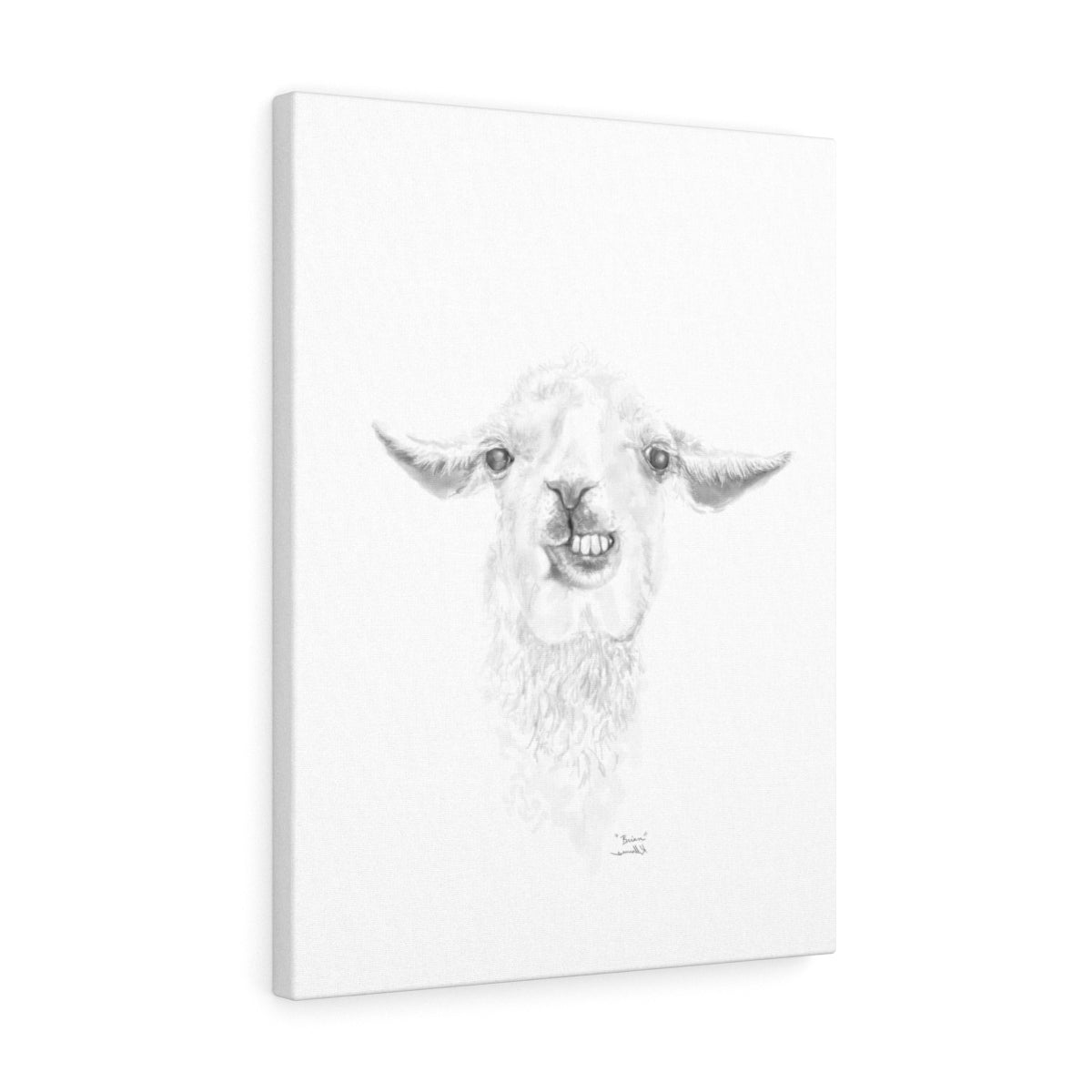 BRIAN Llama - Art Canvas