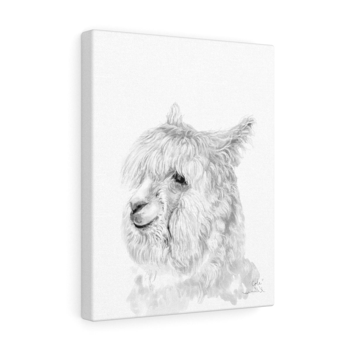 COLE Llama - Art Canvas