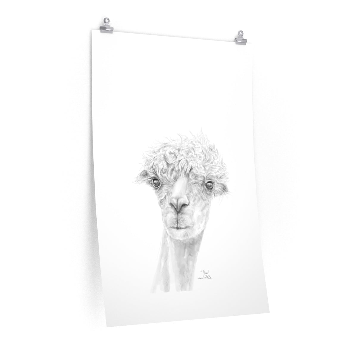 JOSE Llama- Art Paper Print