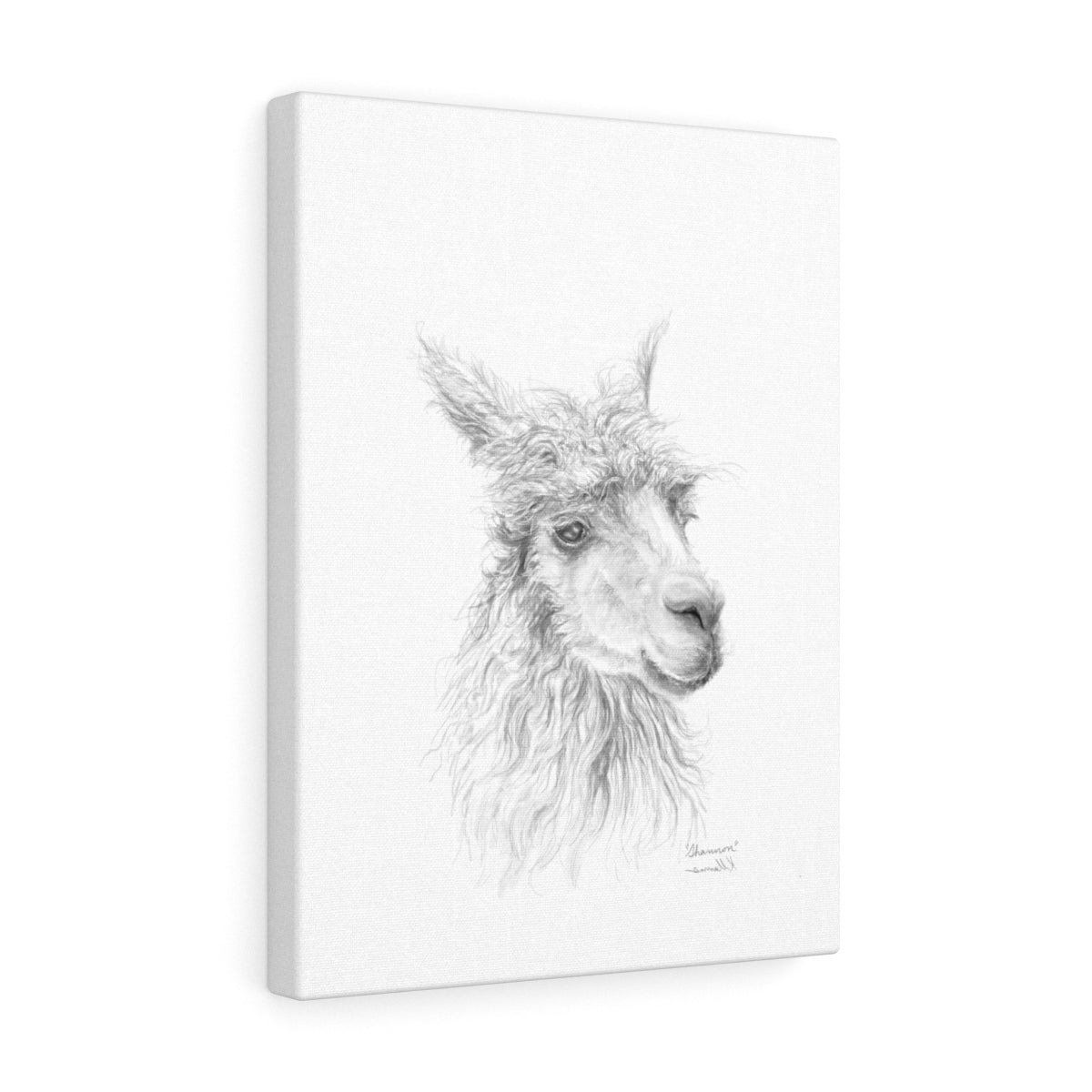 SHANNON Llama - Art Canvas