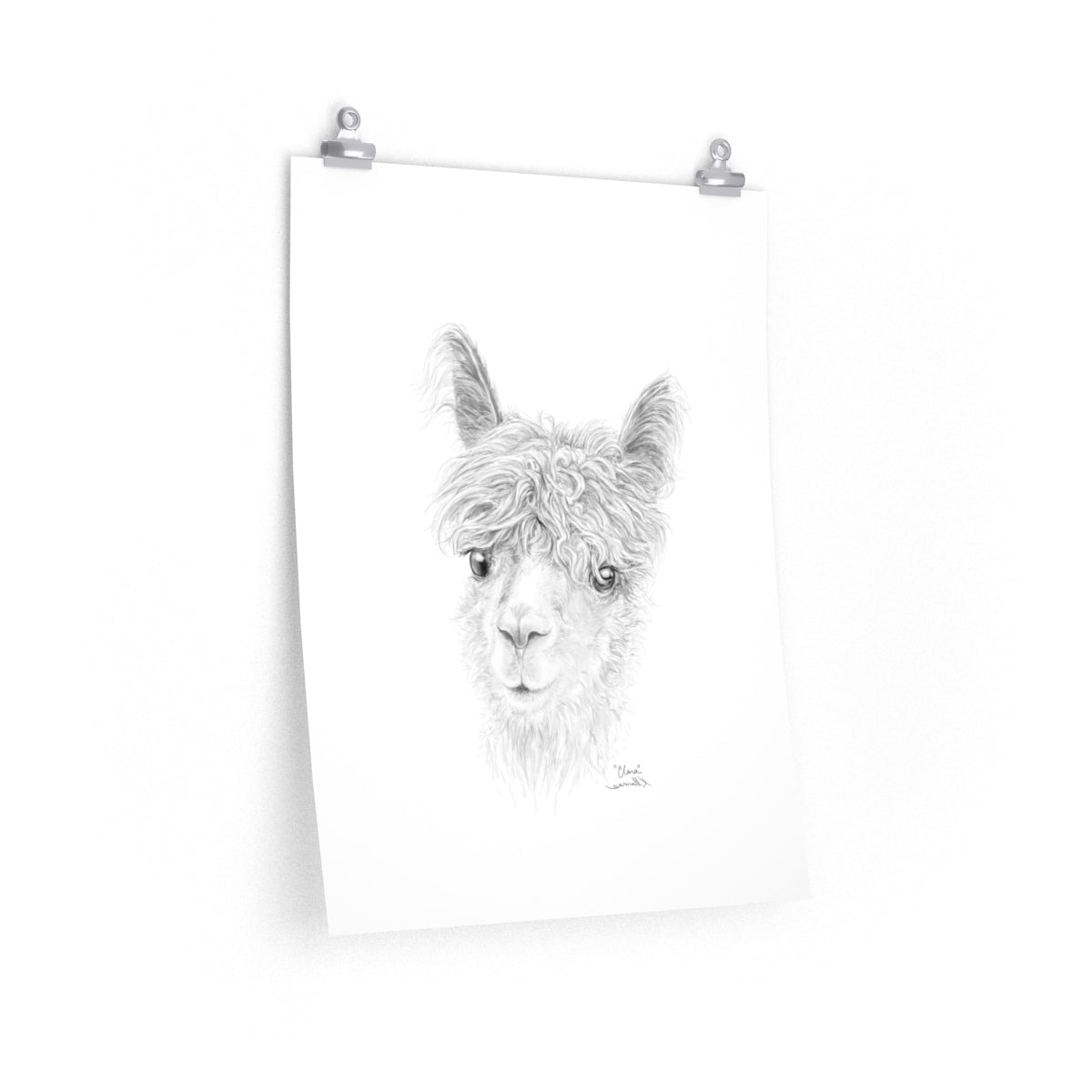 CLARA Llama- Art Paper Print