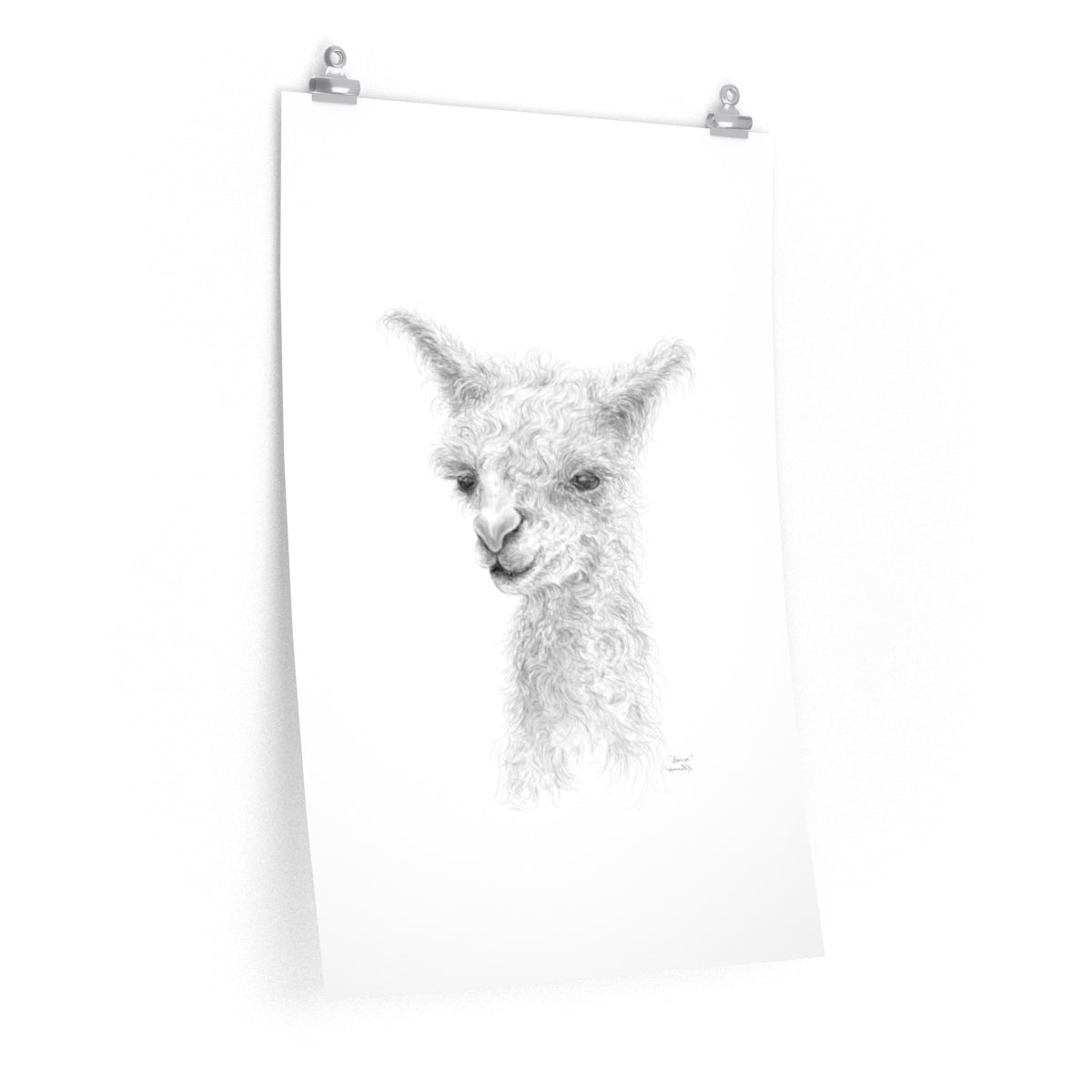 SIERRA Llama- Art Paper Print