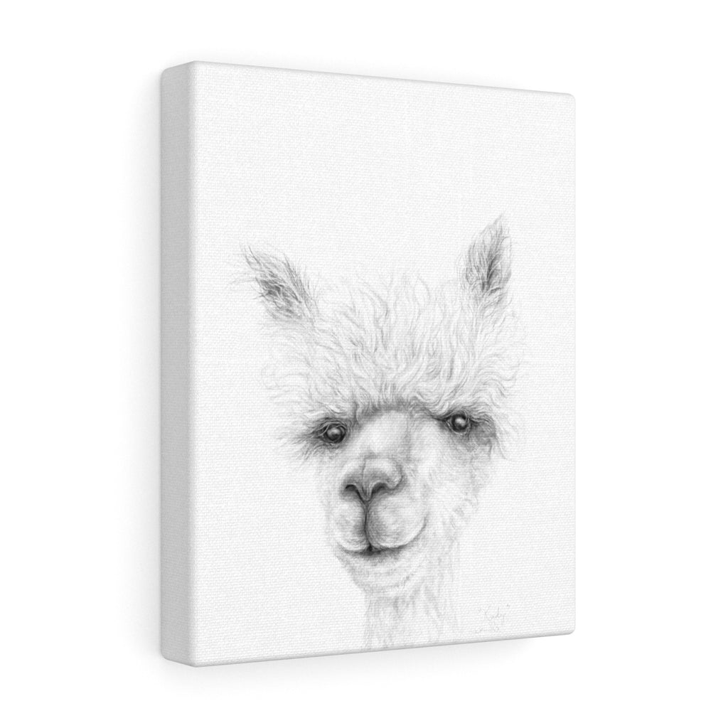 KADY Llama - Art Canvas