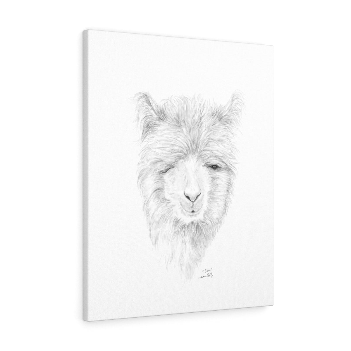 EDIE Llama - Art Canvas