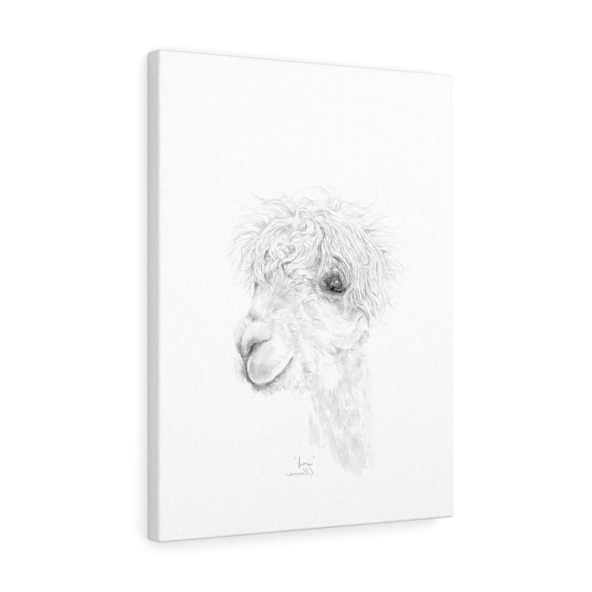 LORI Llama - Art Canvas