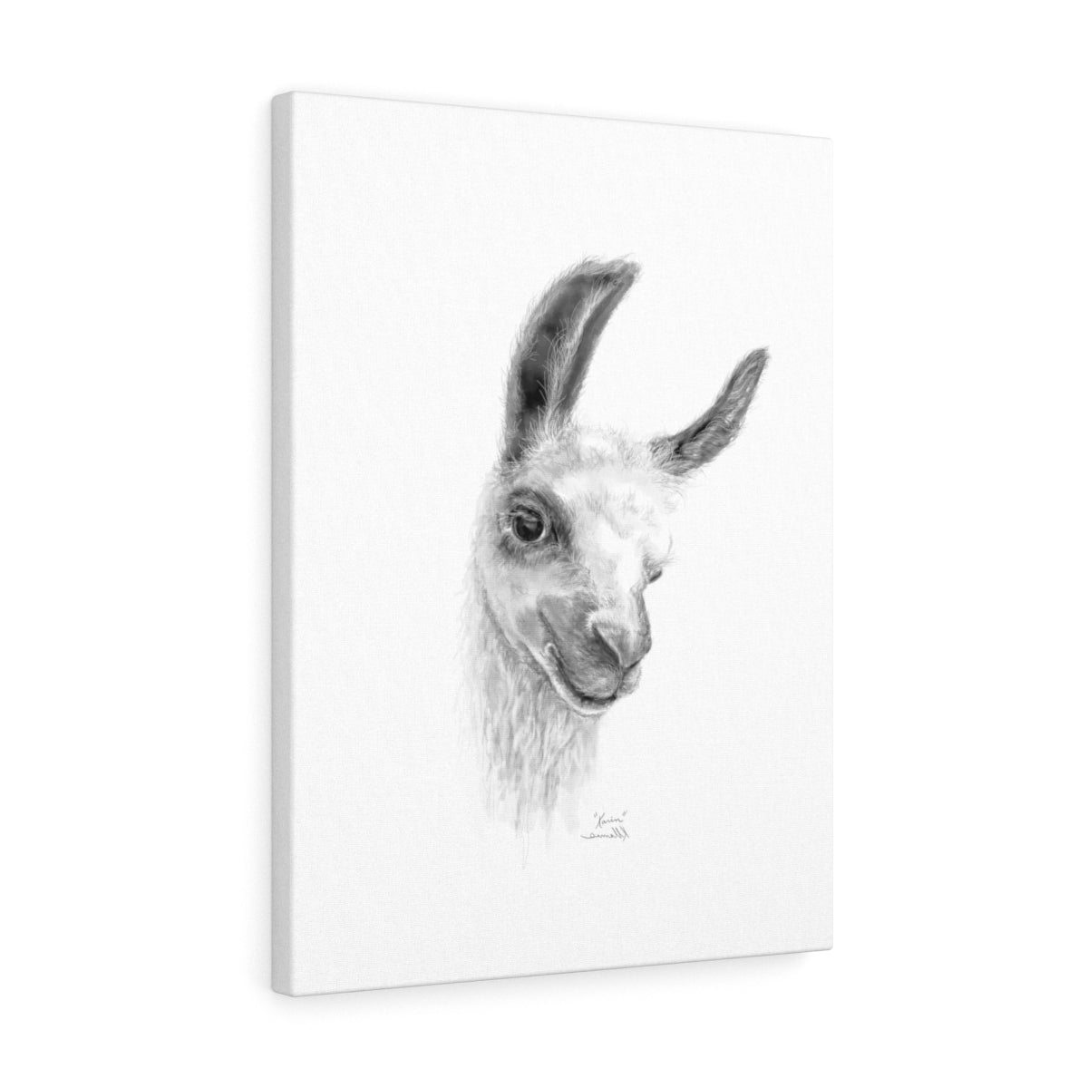 KARIN Llama - Art Canvas