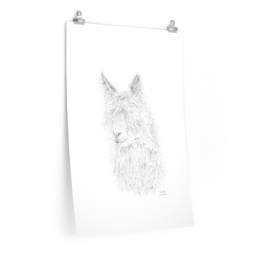 MEREDITH Llama- Art Paper Print