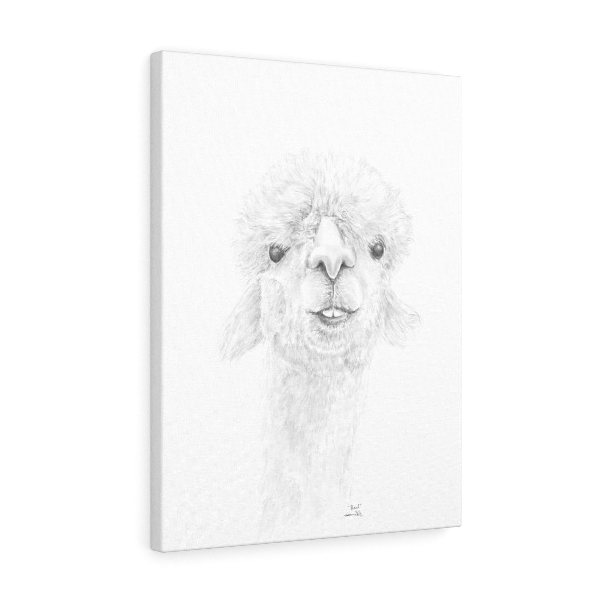 PEARL Llama - Art Canvas