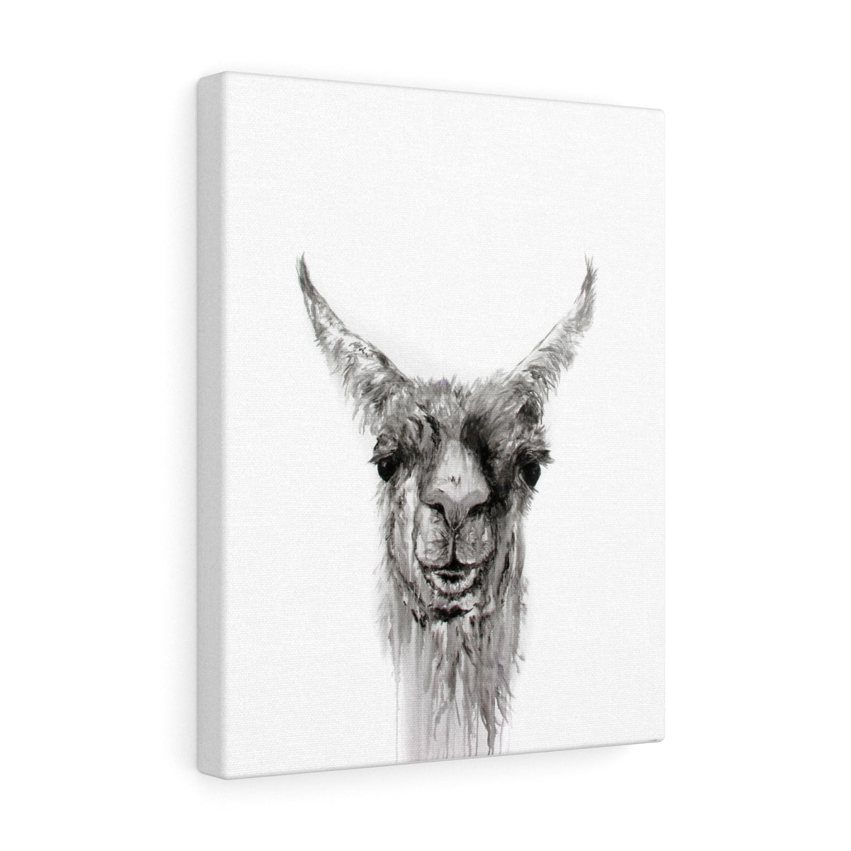 NEMORIO Llama - Art Canvas
