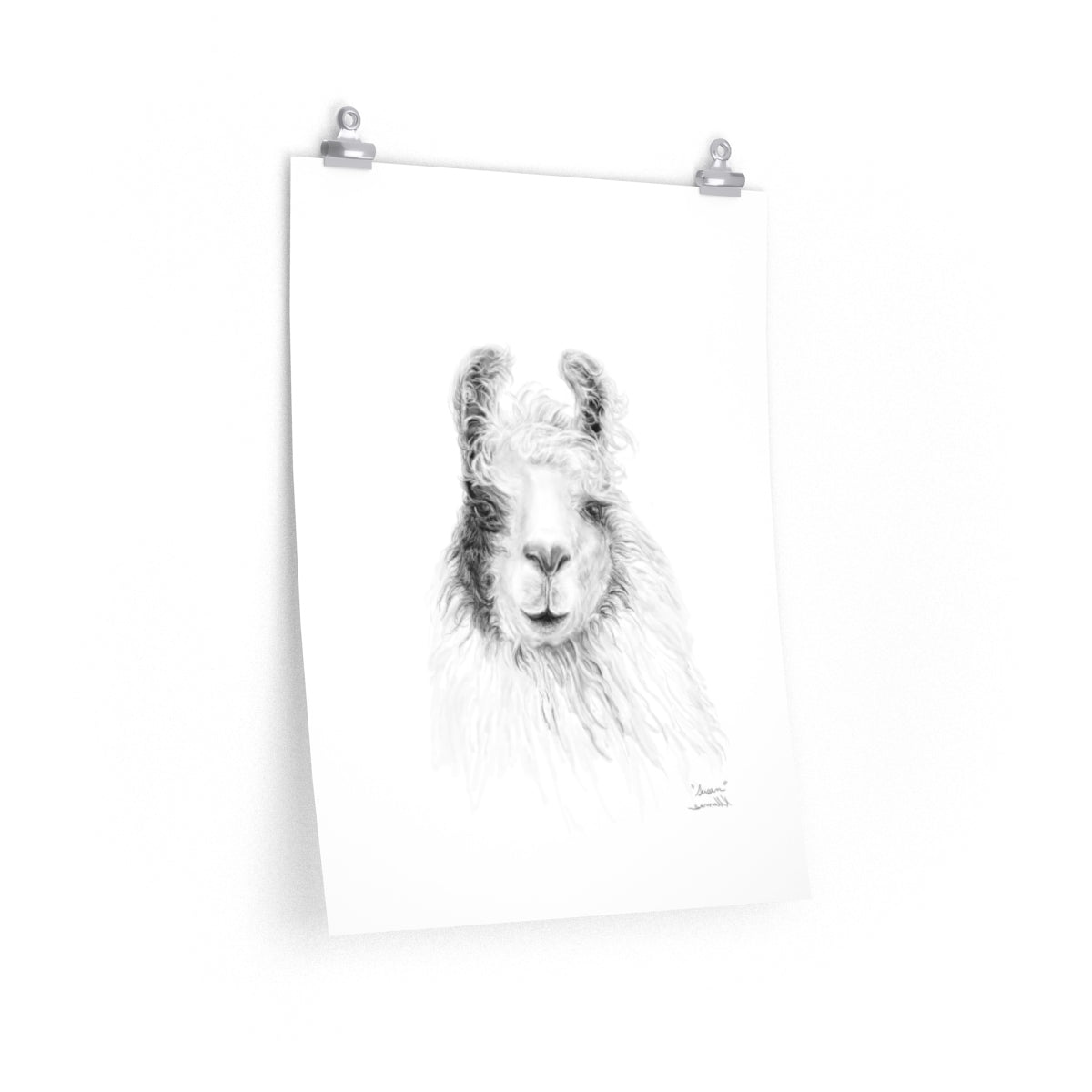 SUSAN Llama- Art Paper Print
