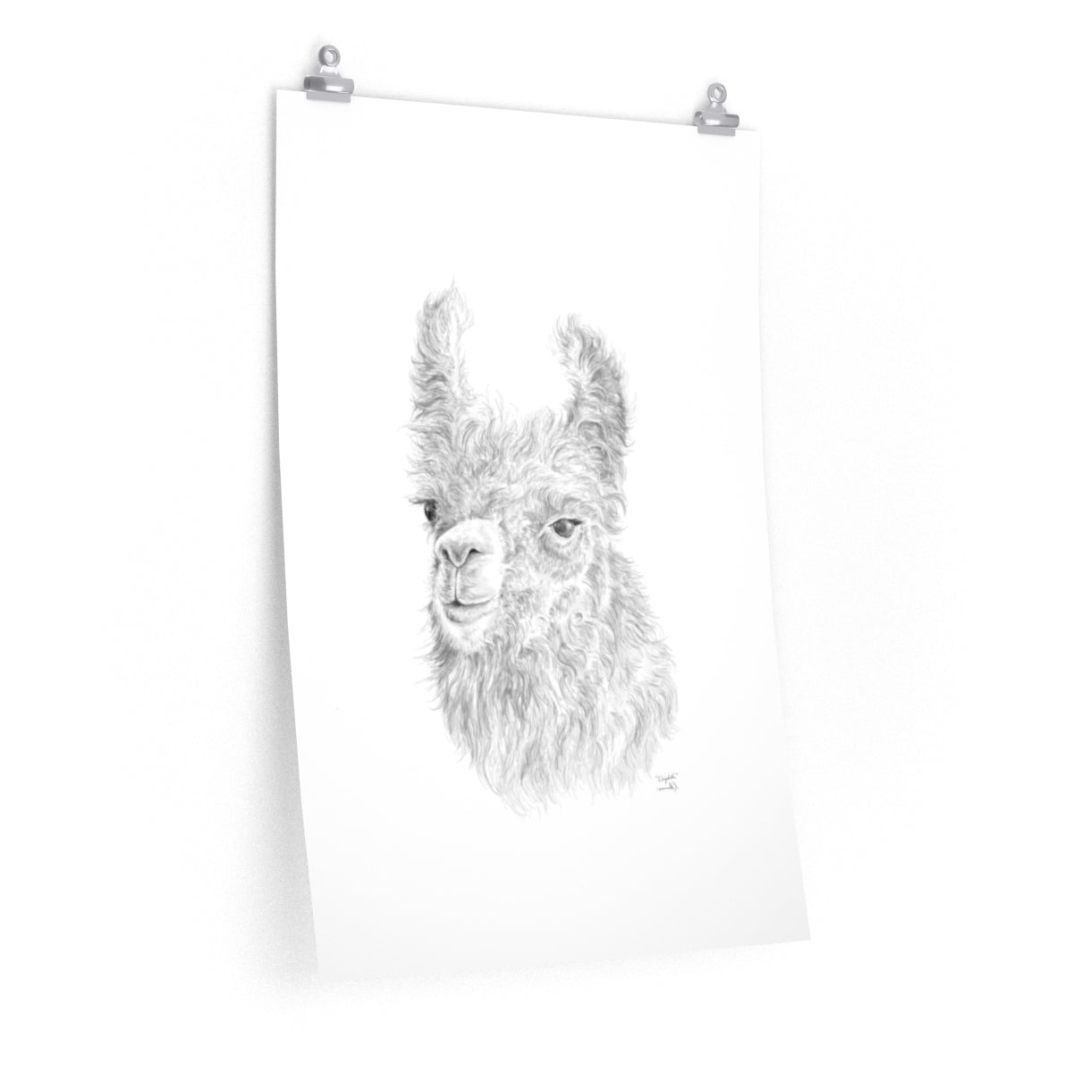 Elizabeth Llama- Art Paper Print