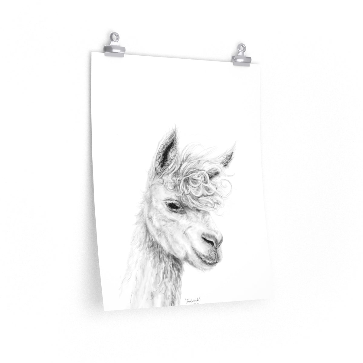 FREDERICK Llama- Art Paper Print
