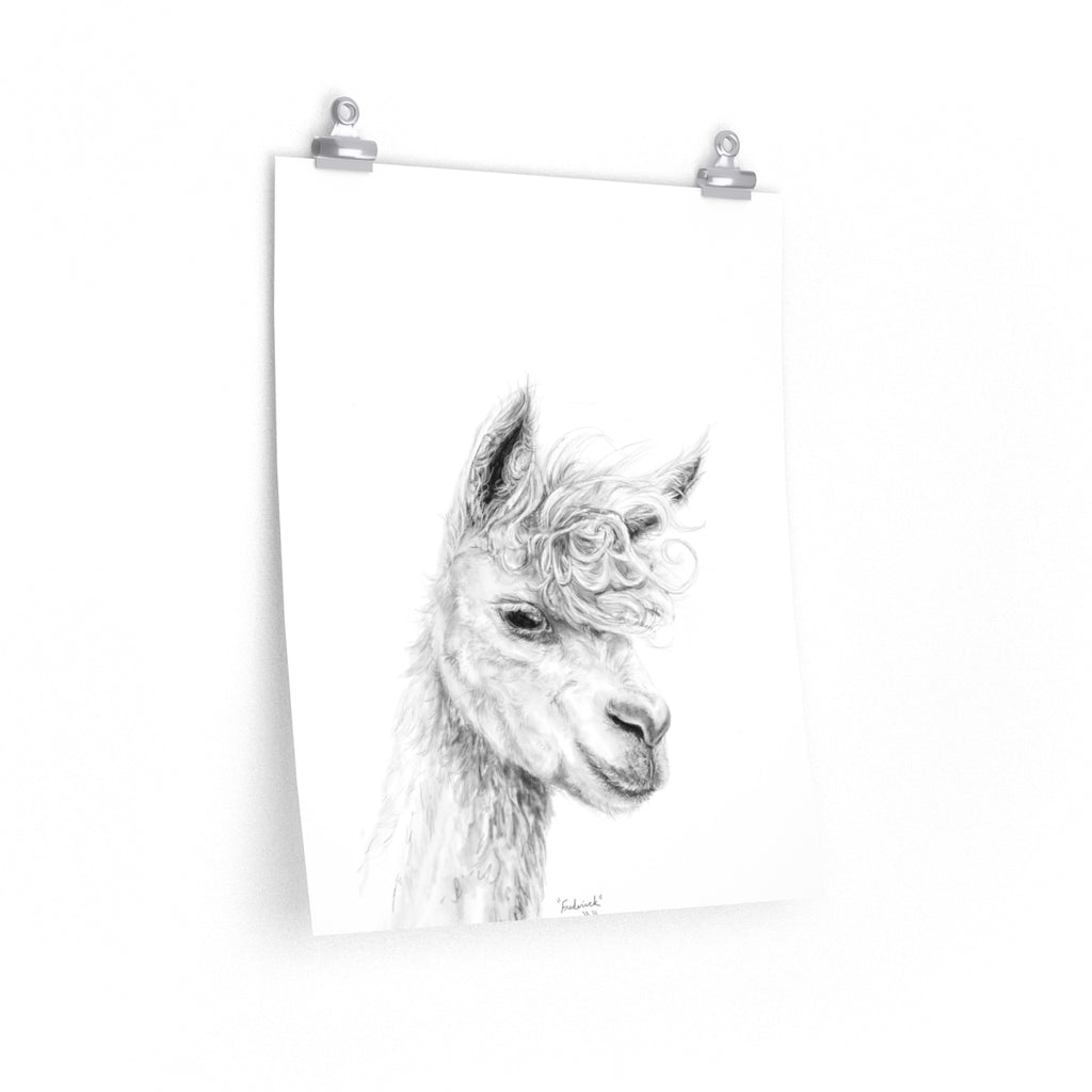 FREDERICK Llama- Art Paper Print