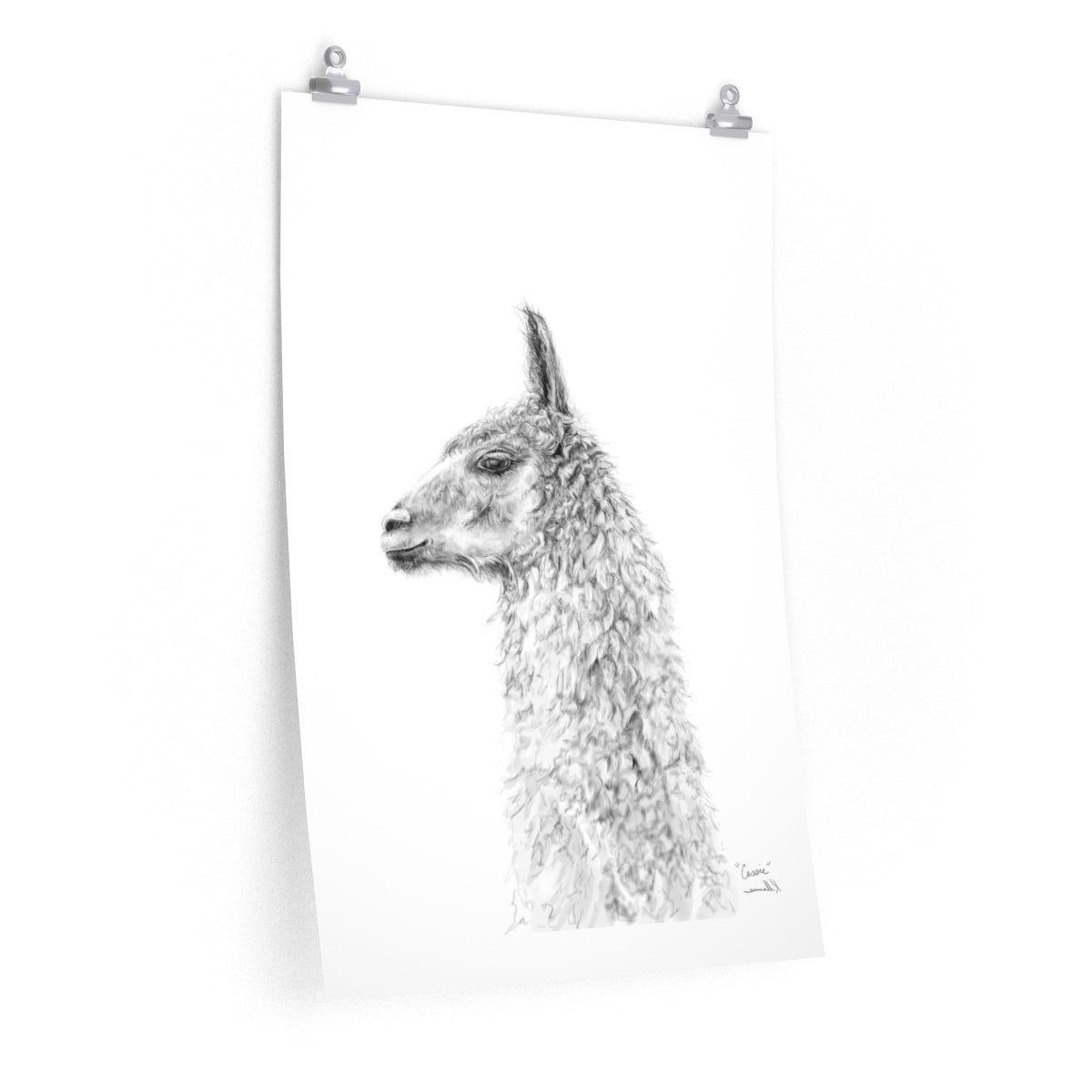 CASSIE Llama- Art Paper Print