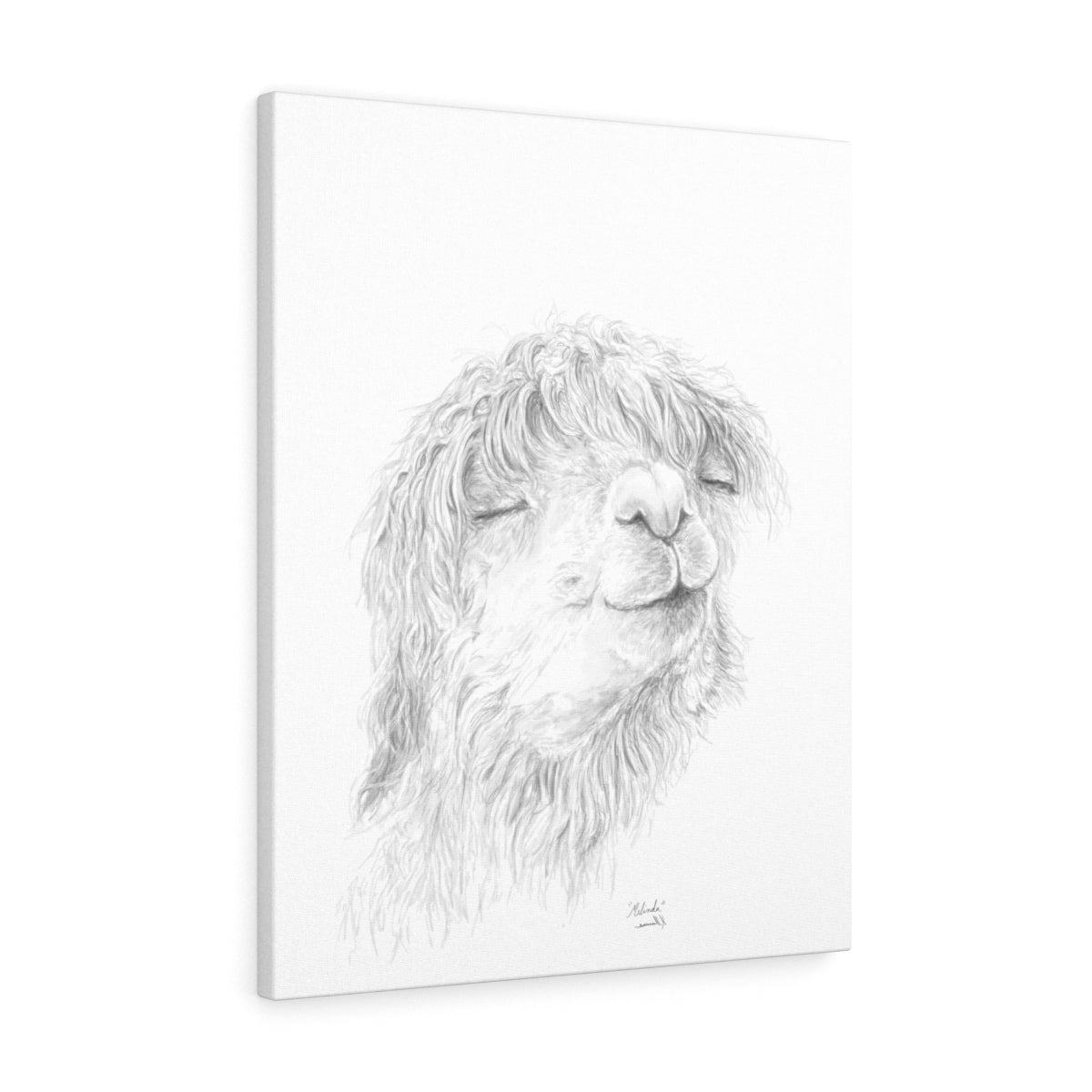 MELINDA Llama - Art Canvas