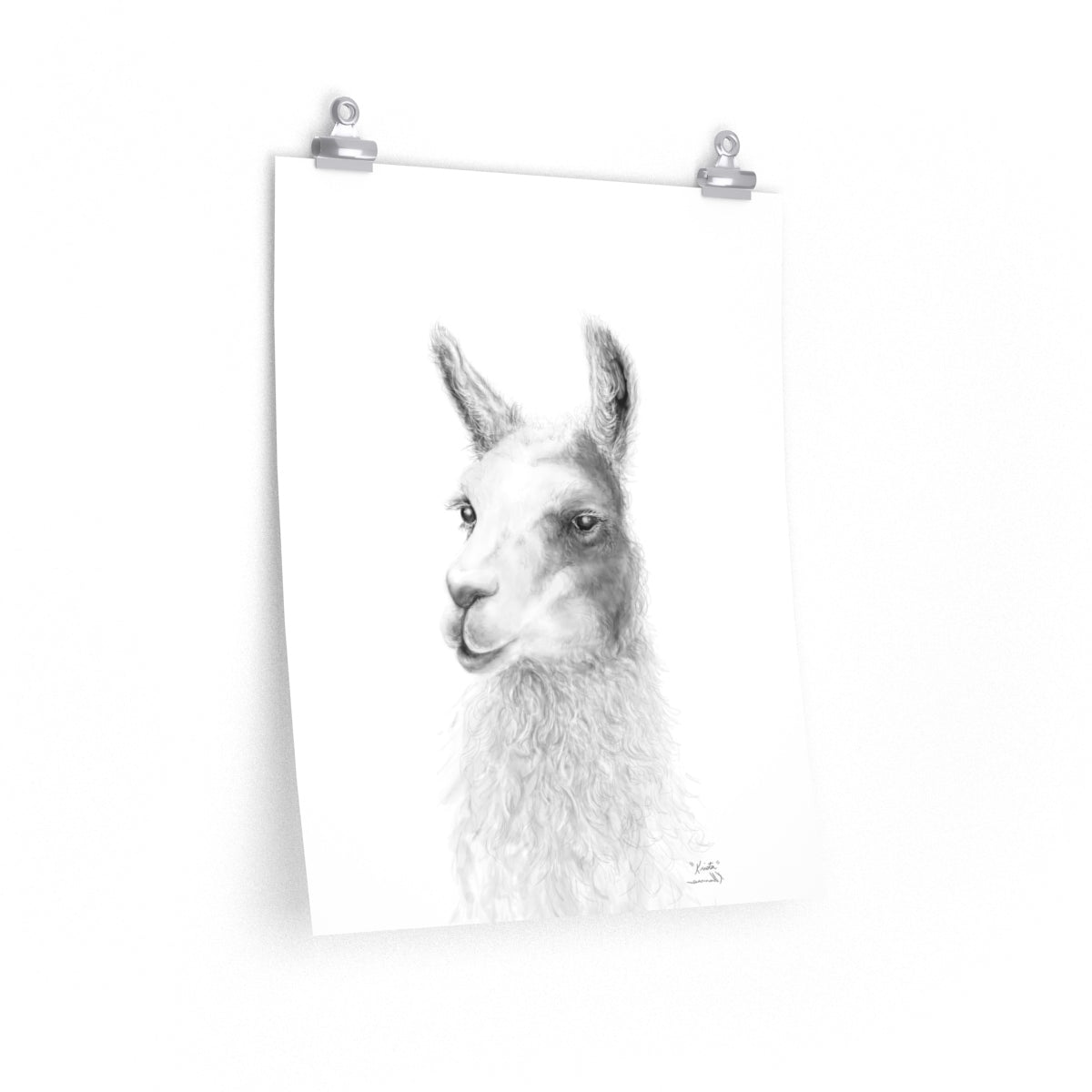 KRISTA Llama- Art Paper Print