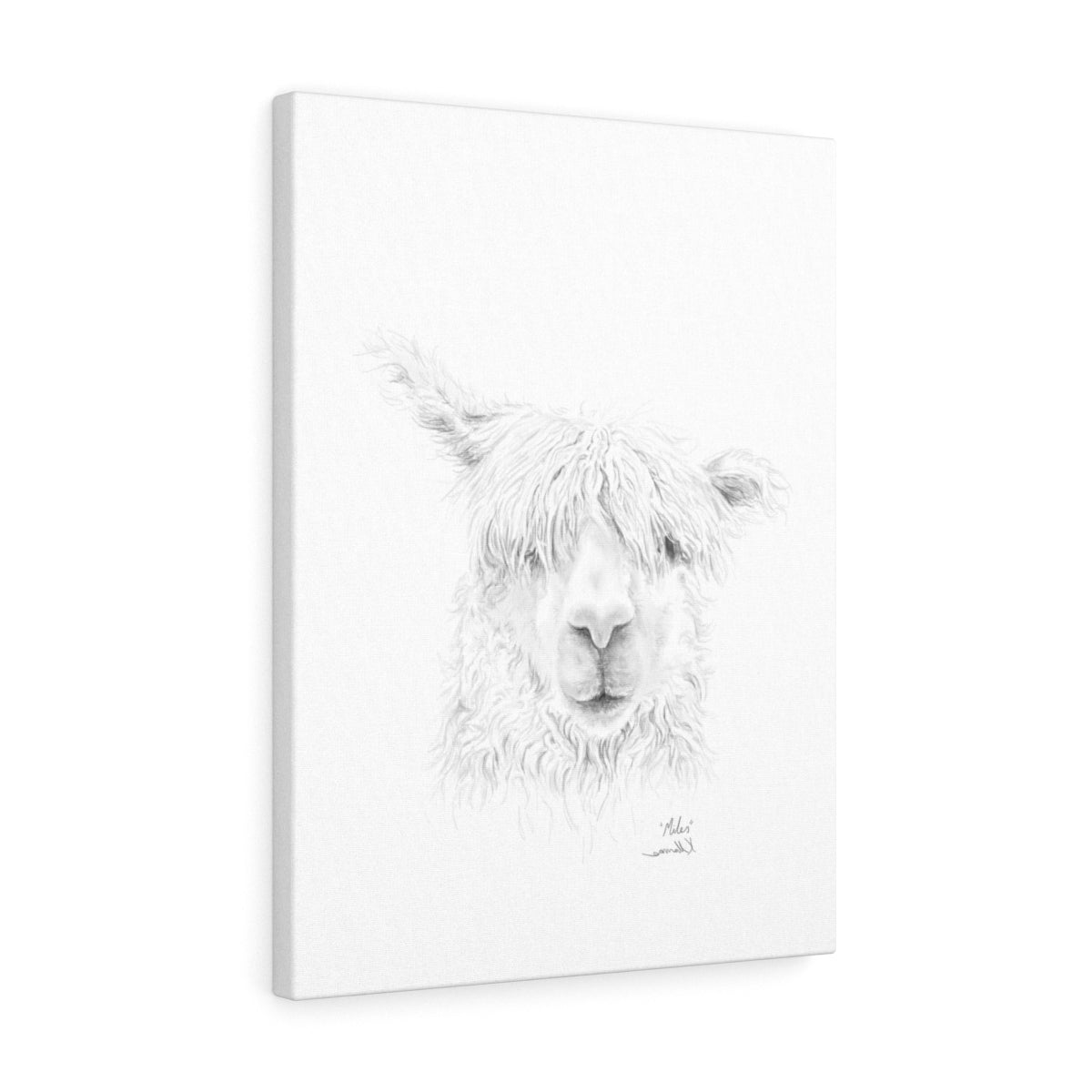 MILES Llama - Art Canvas