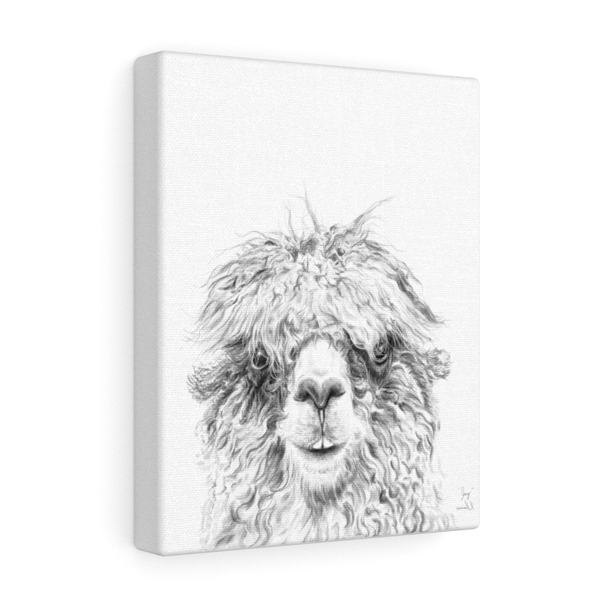 JAY Llama - Art Canvas