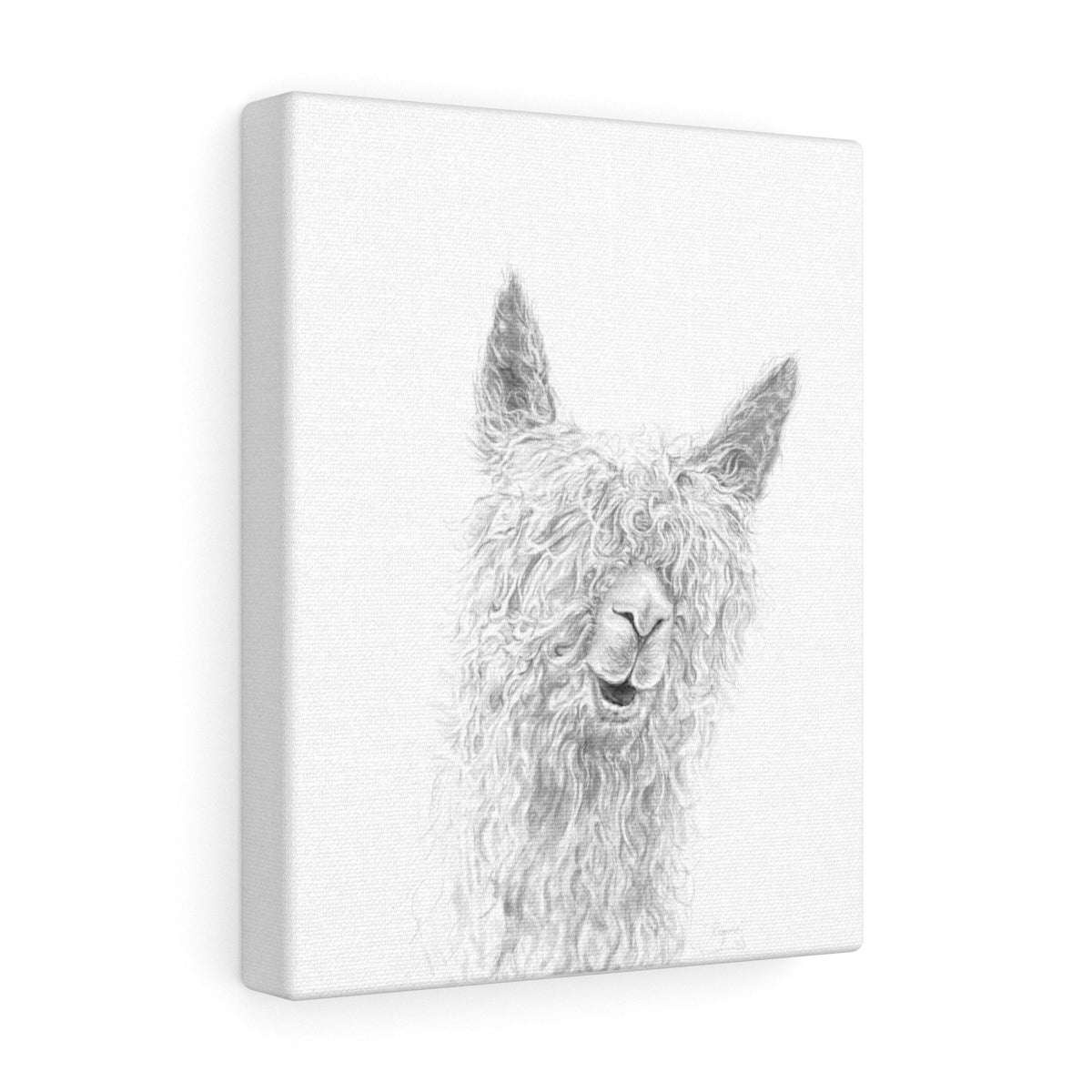 REGINA Llama - Art Canvas